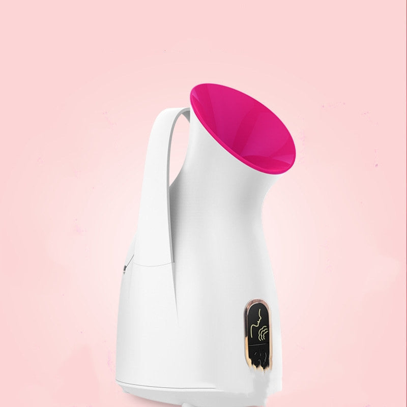 First Class Face Steamer